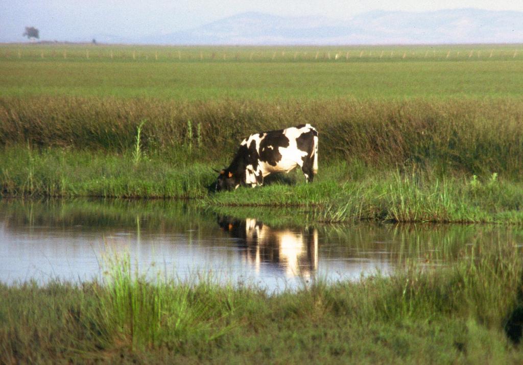 Alojamiento Tartessos Pensjonat Villamanrique De La Condesa Zewnętrze zdjęcie